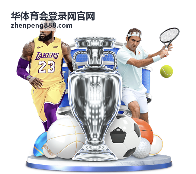 华体育会登录网官网会员服务权益查看演示图